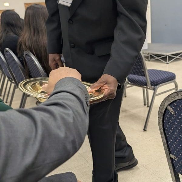 PXL_20241006_171603655-600x1067